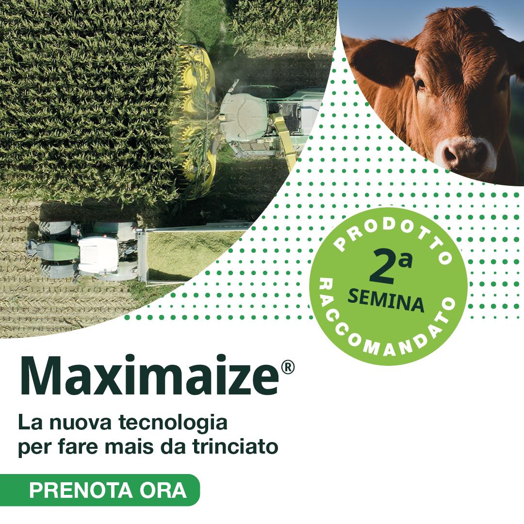 Maximaize