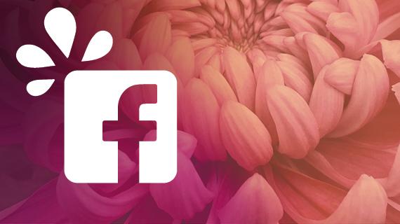 Facebook florovivaismo