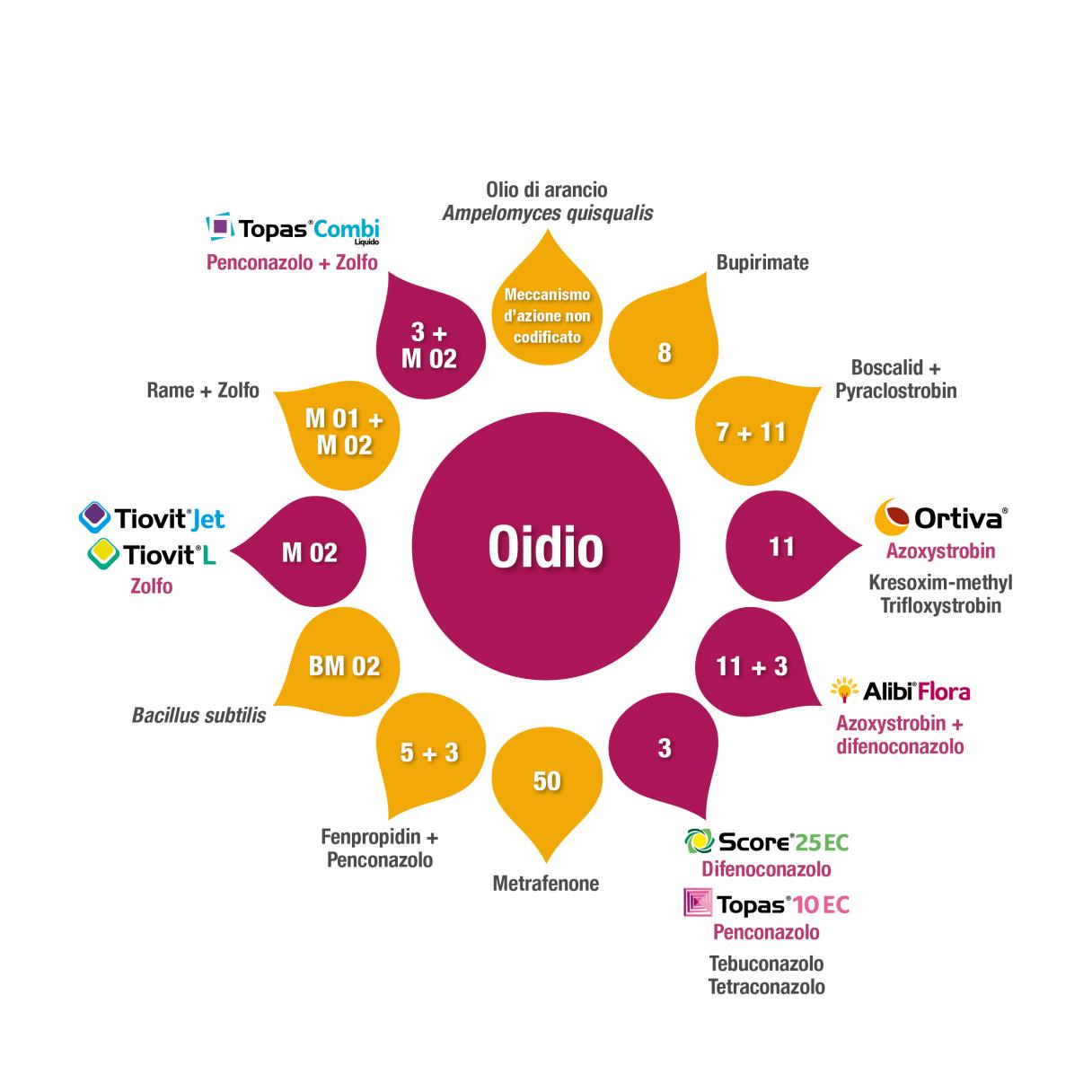 Gestione resistenze - Oidio