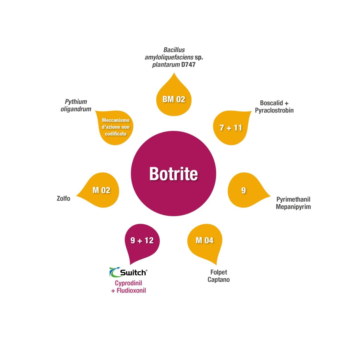 Gestione resistenze - Botrite