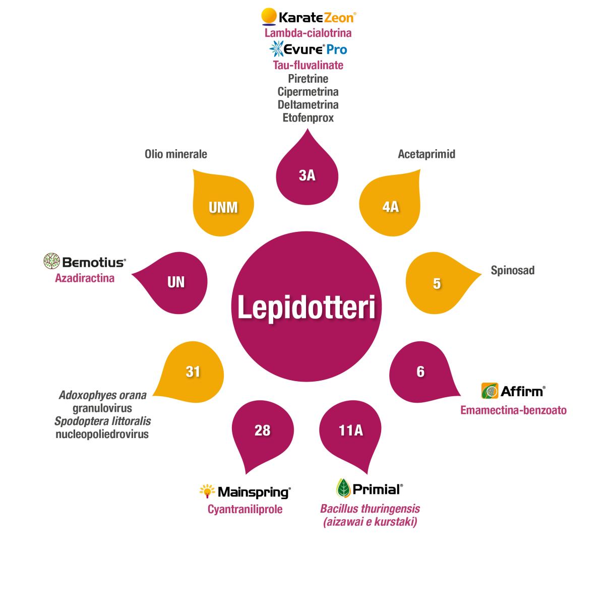 Gestione resistenze - Lepidotteri