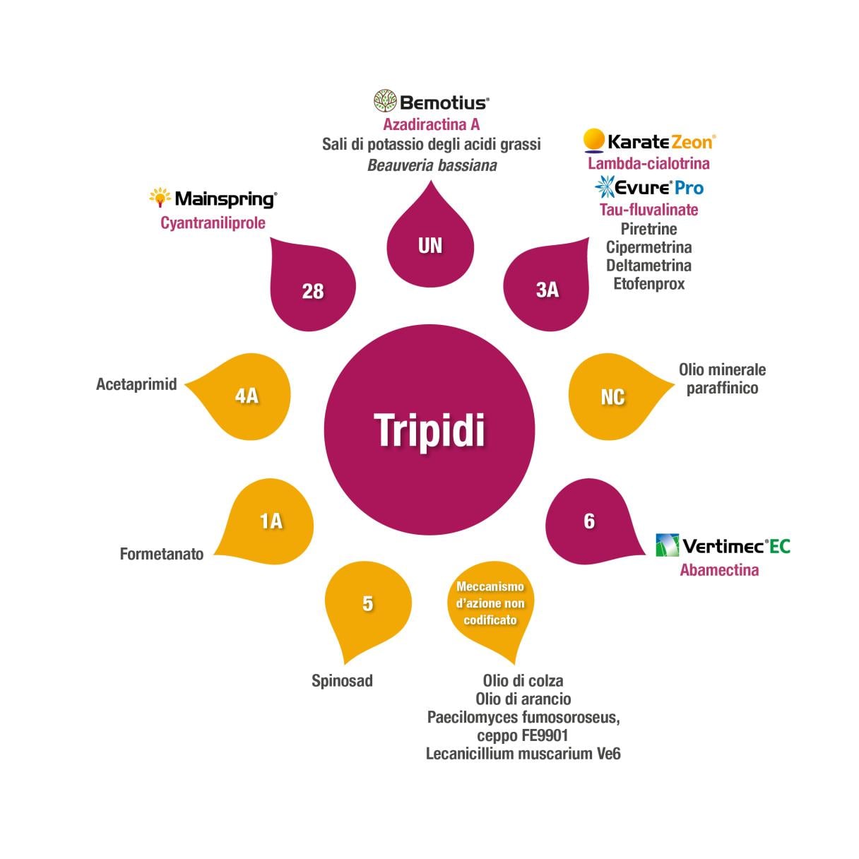 Gestione resistenze - Tripidi