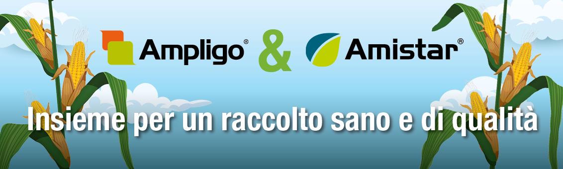 Ampligo e Amistar mais