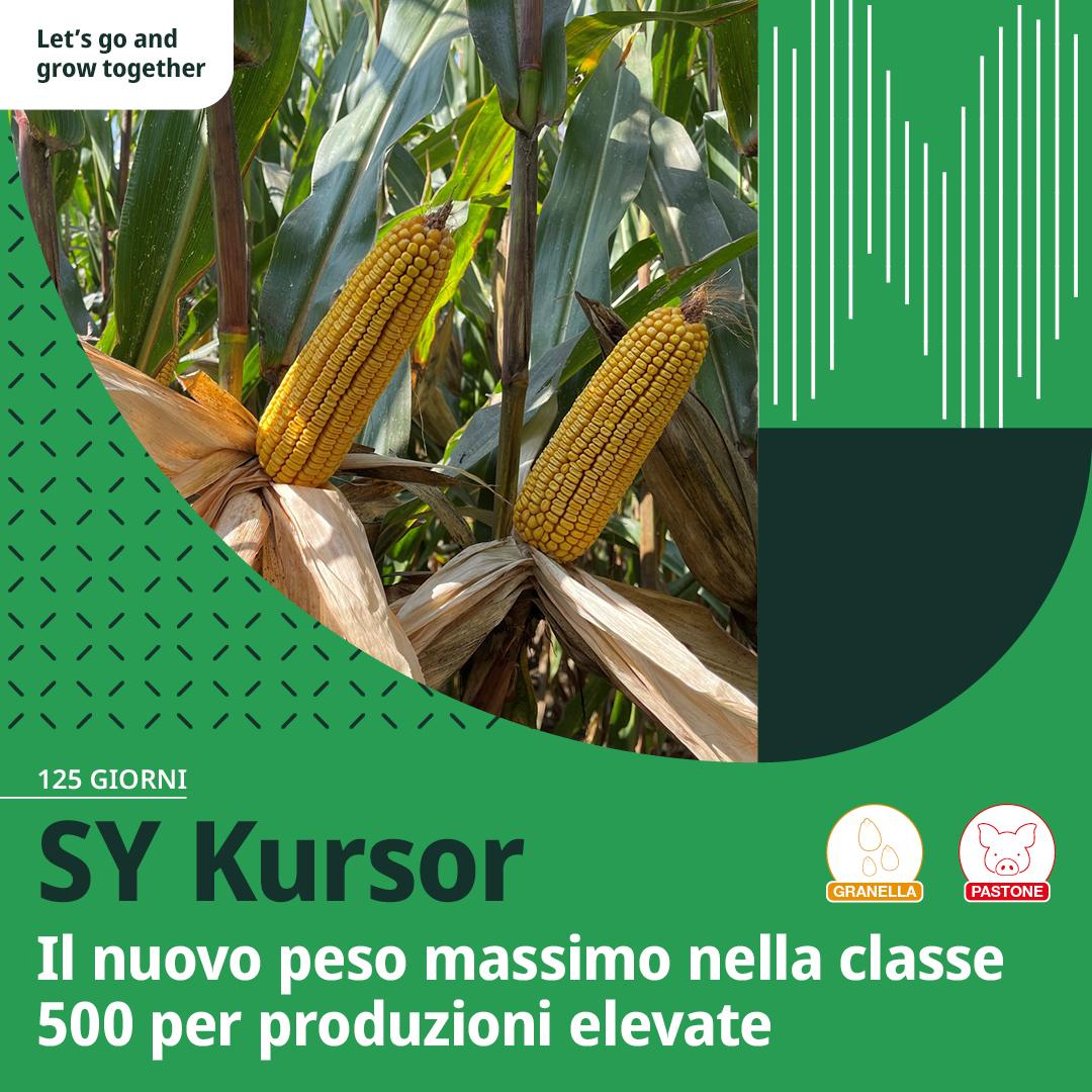 kursor card