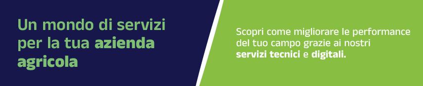 servizi intro