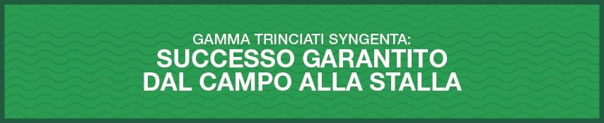 gamma trinciati