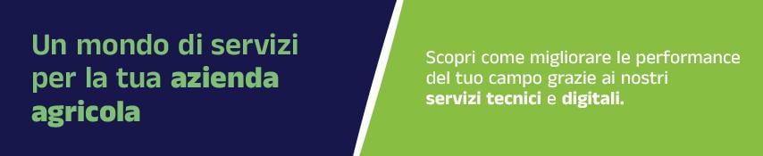 i nostri servizi