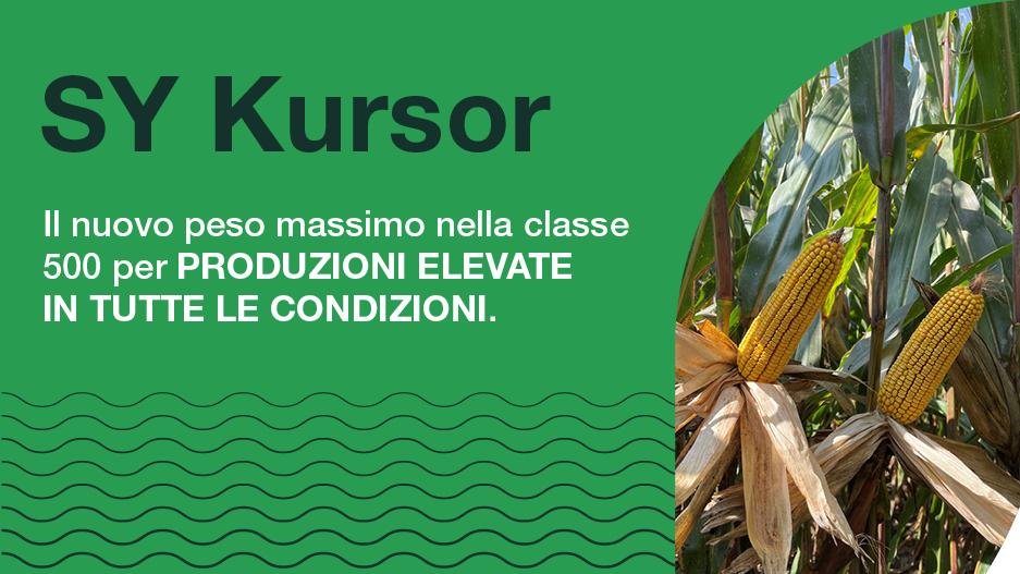 kursor
