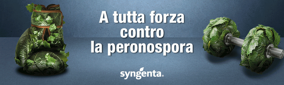 strategie peronospora syngenta