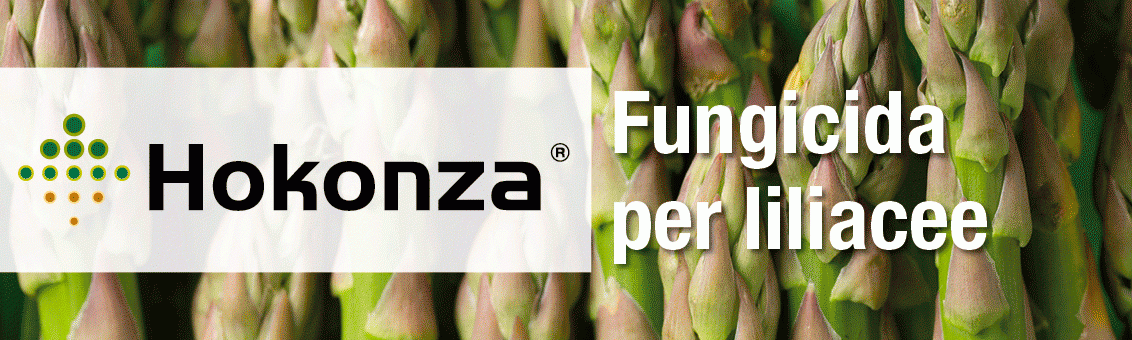hokonza syngenta