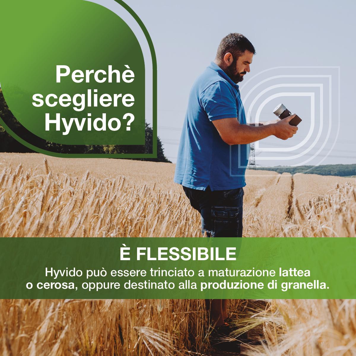 Hyvido è flessibile