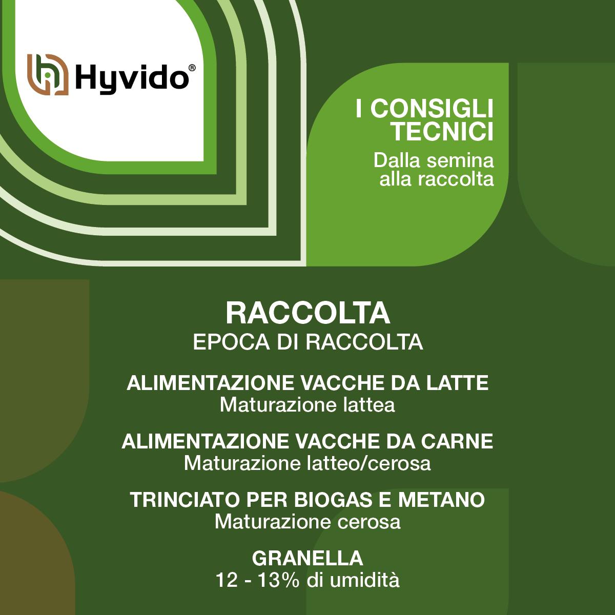Raccolta Hyvido