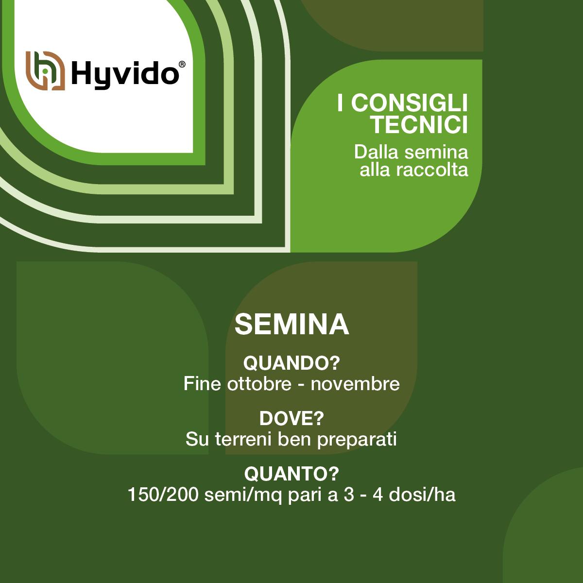Semina Hyvido