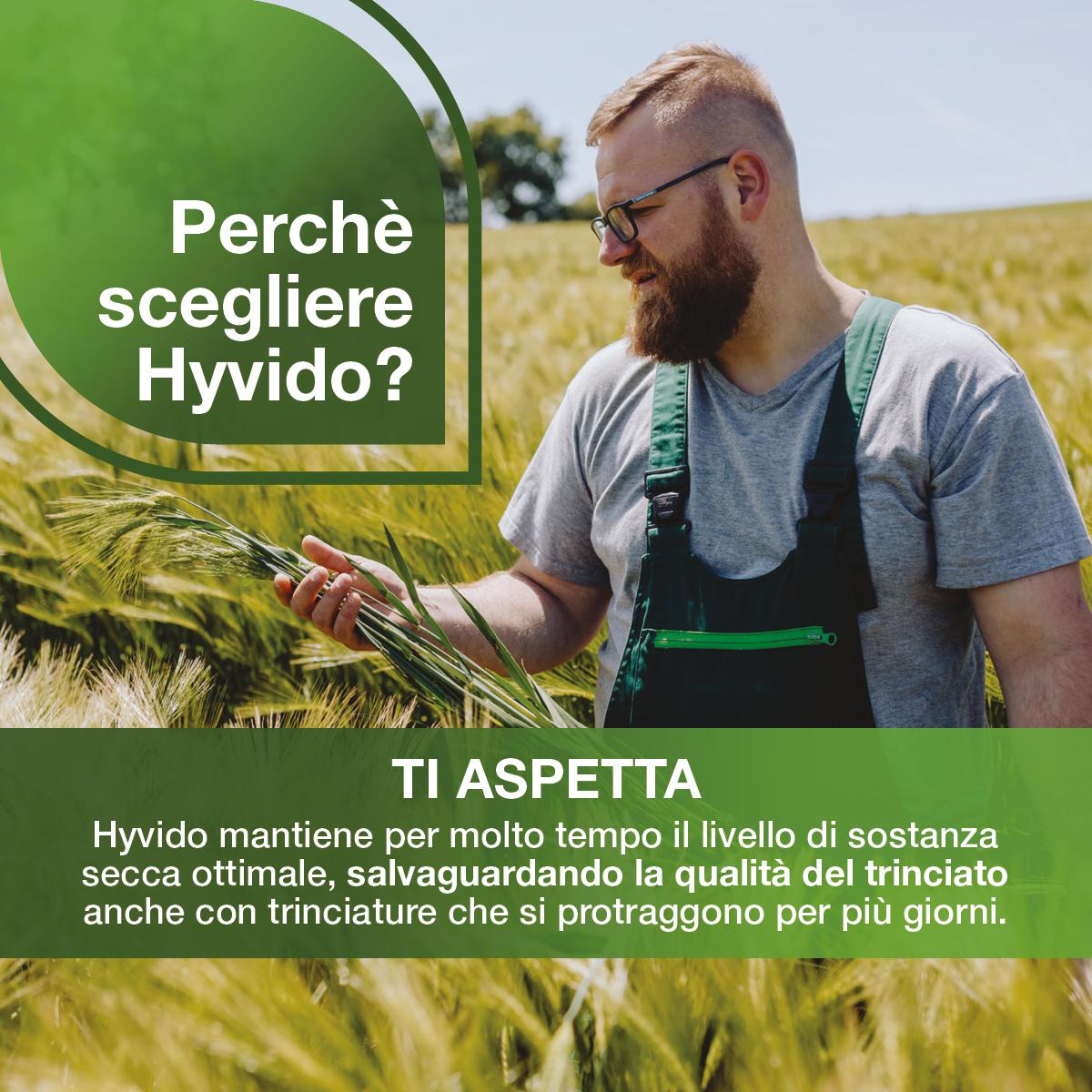 Hyvido ti aspetta