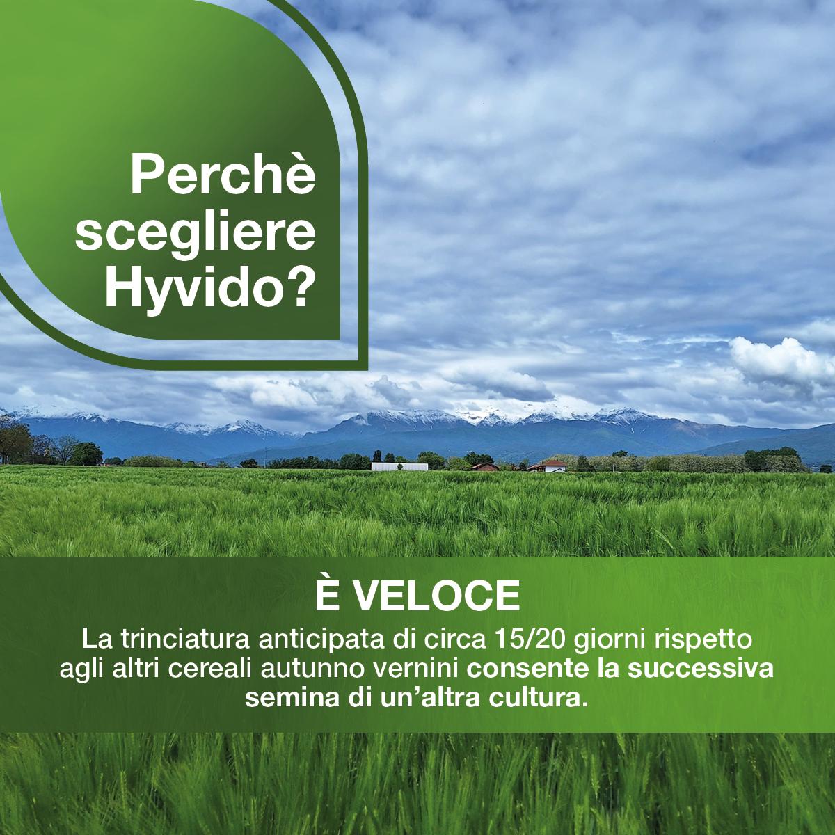 Hyvido è veloce