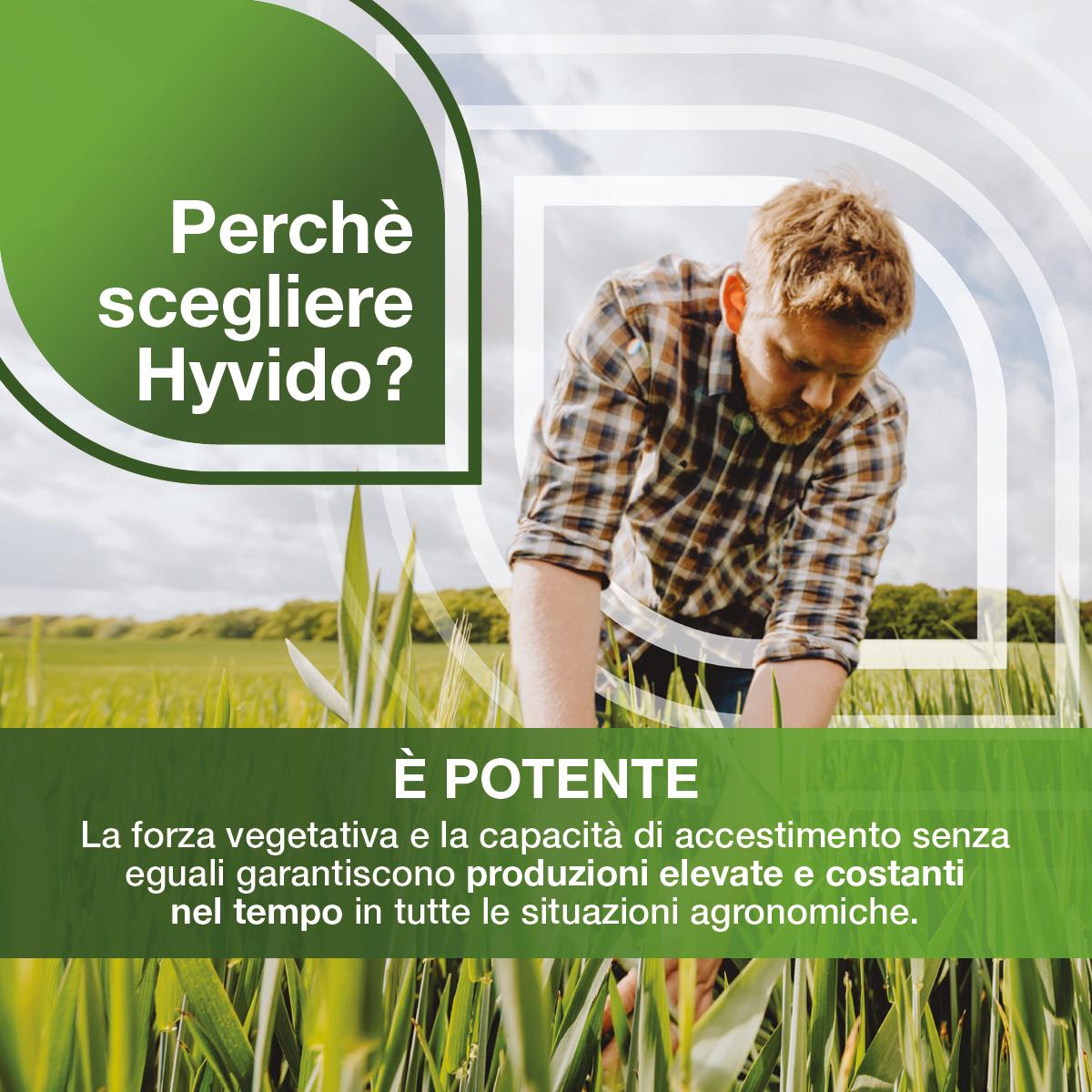 Hyvido è potente