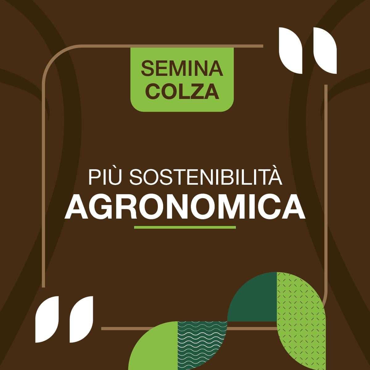sostenibilità agronomica colza