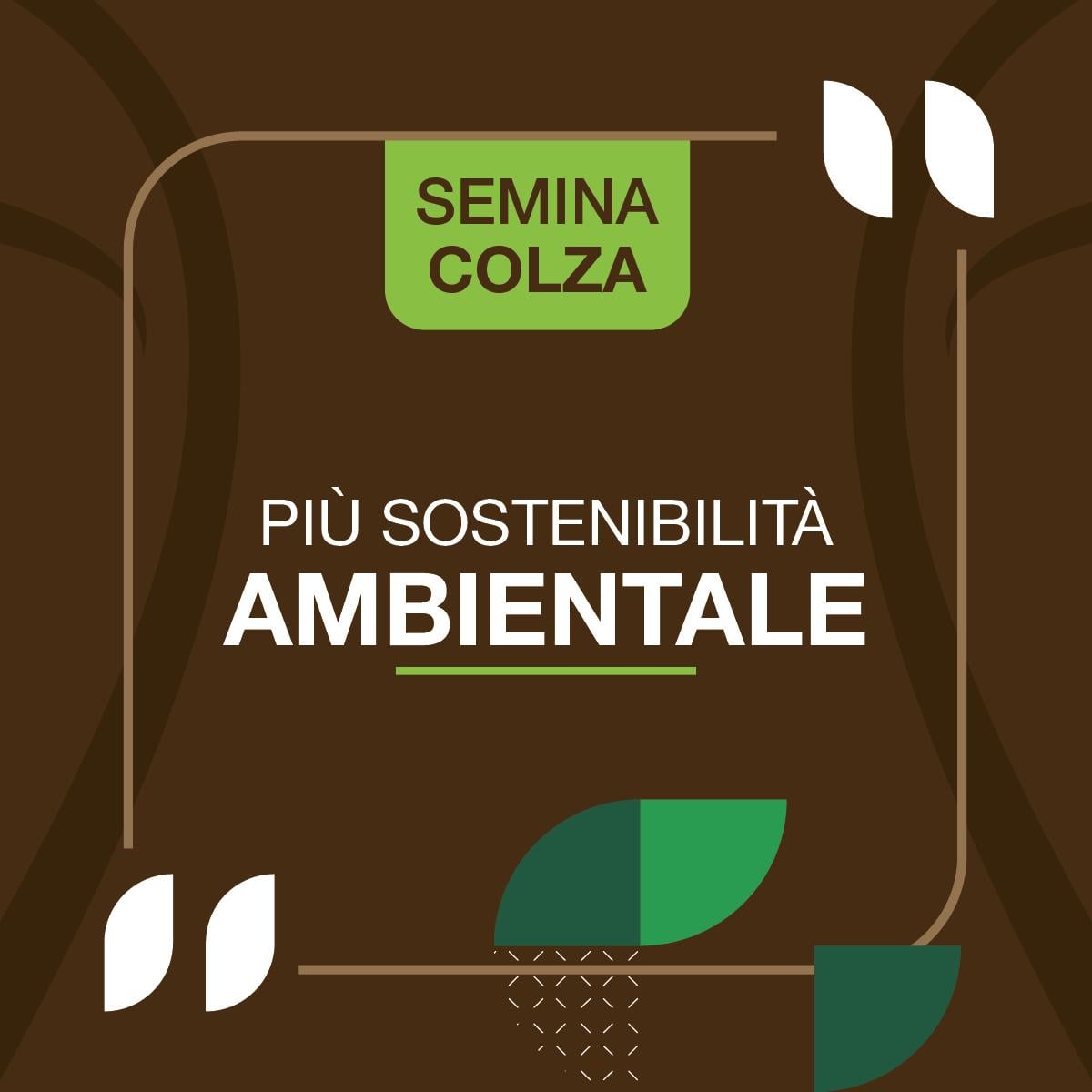 sostenibilità ambientale colza
