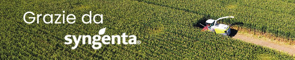 Trattore nel campo di mais