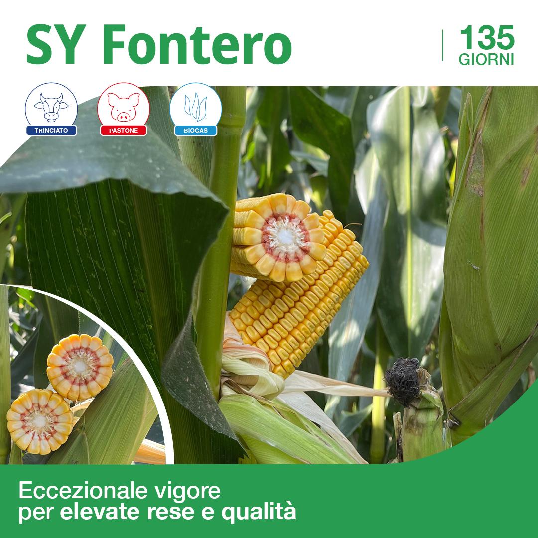 fontero 2025