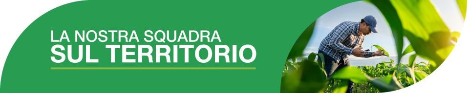 Squadra sul territorio