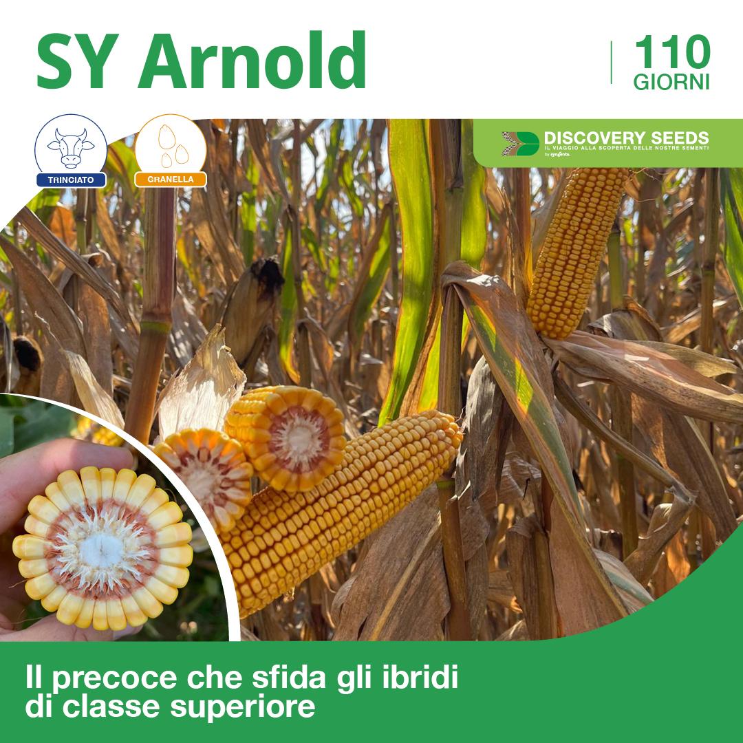 arnold discovery