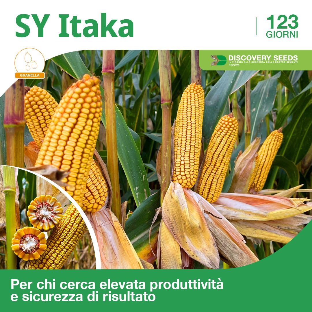 itaka discovery