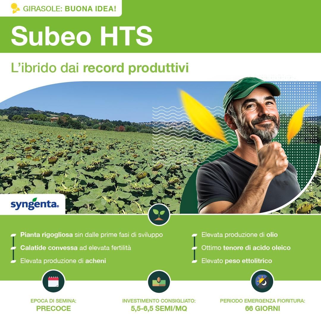 1080x1080_girasole_syngenta2.jpg