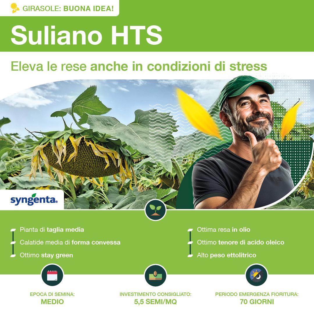 1080x1080_girasole_syngenta3.jpg