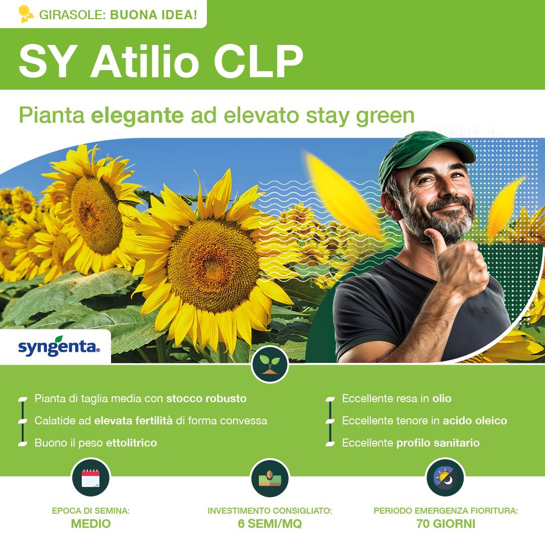 1080x1080_girasole_syngenta4.jpg