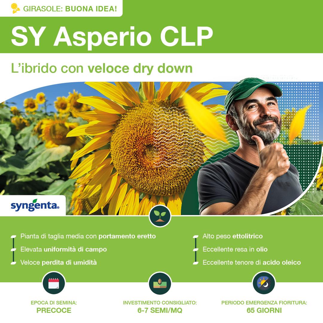 1080x1080_girasole_syngenta5.jpg