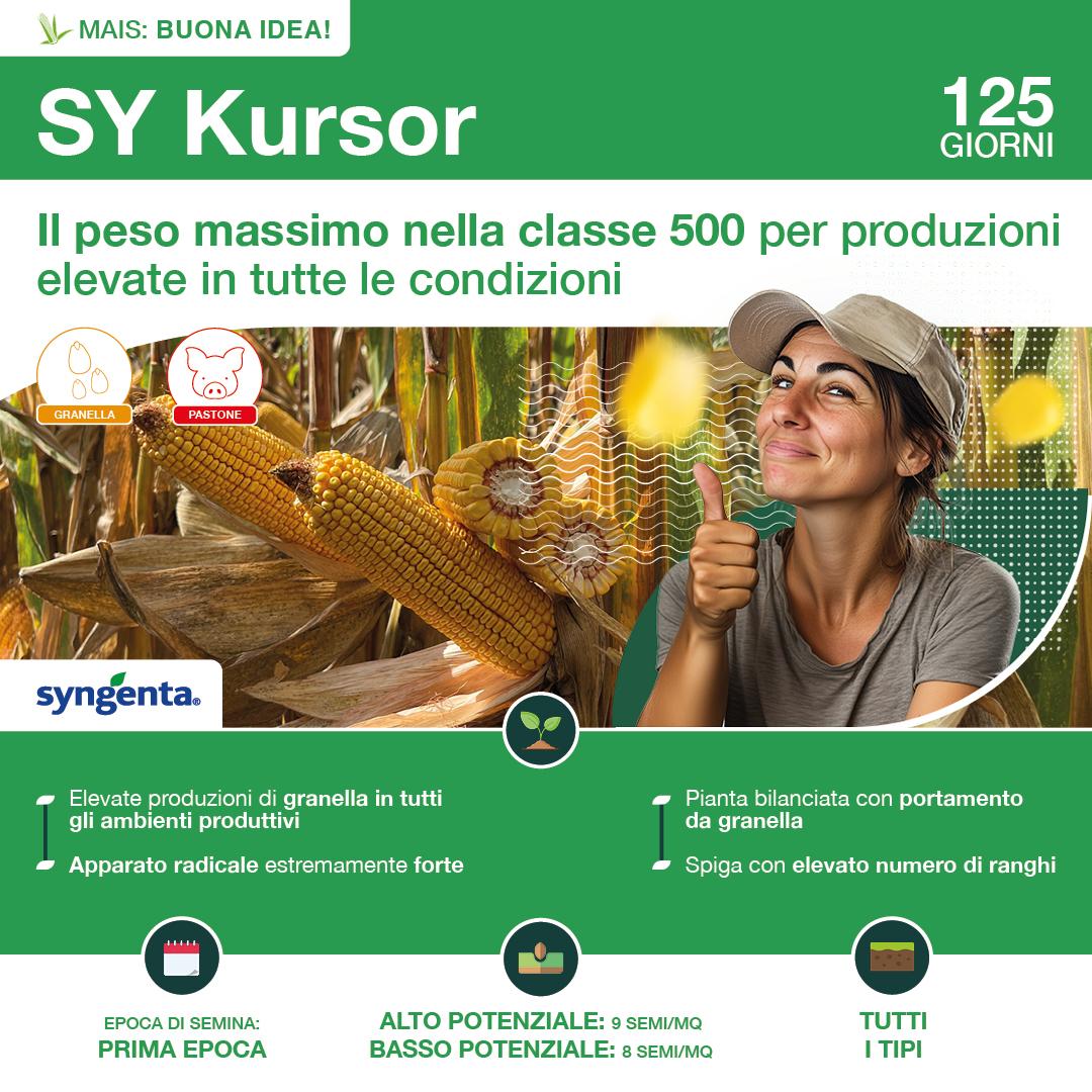 1080x1080_mais_syngenta_kursor.jpg