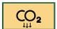 Perdita di Carbonio organico 