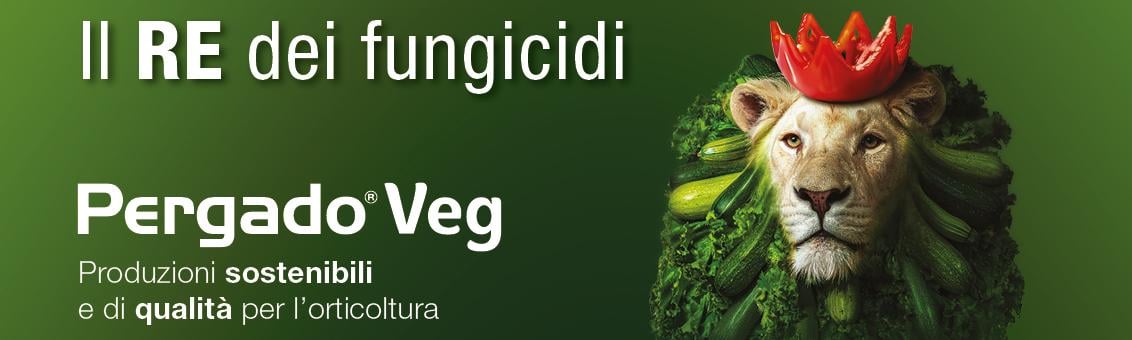 header_pergado_veg_def