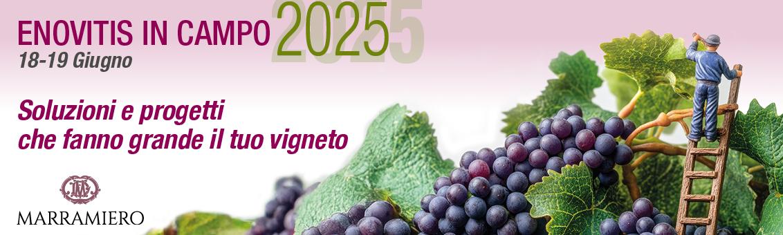 Enovitis_2025