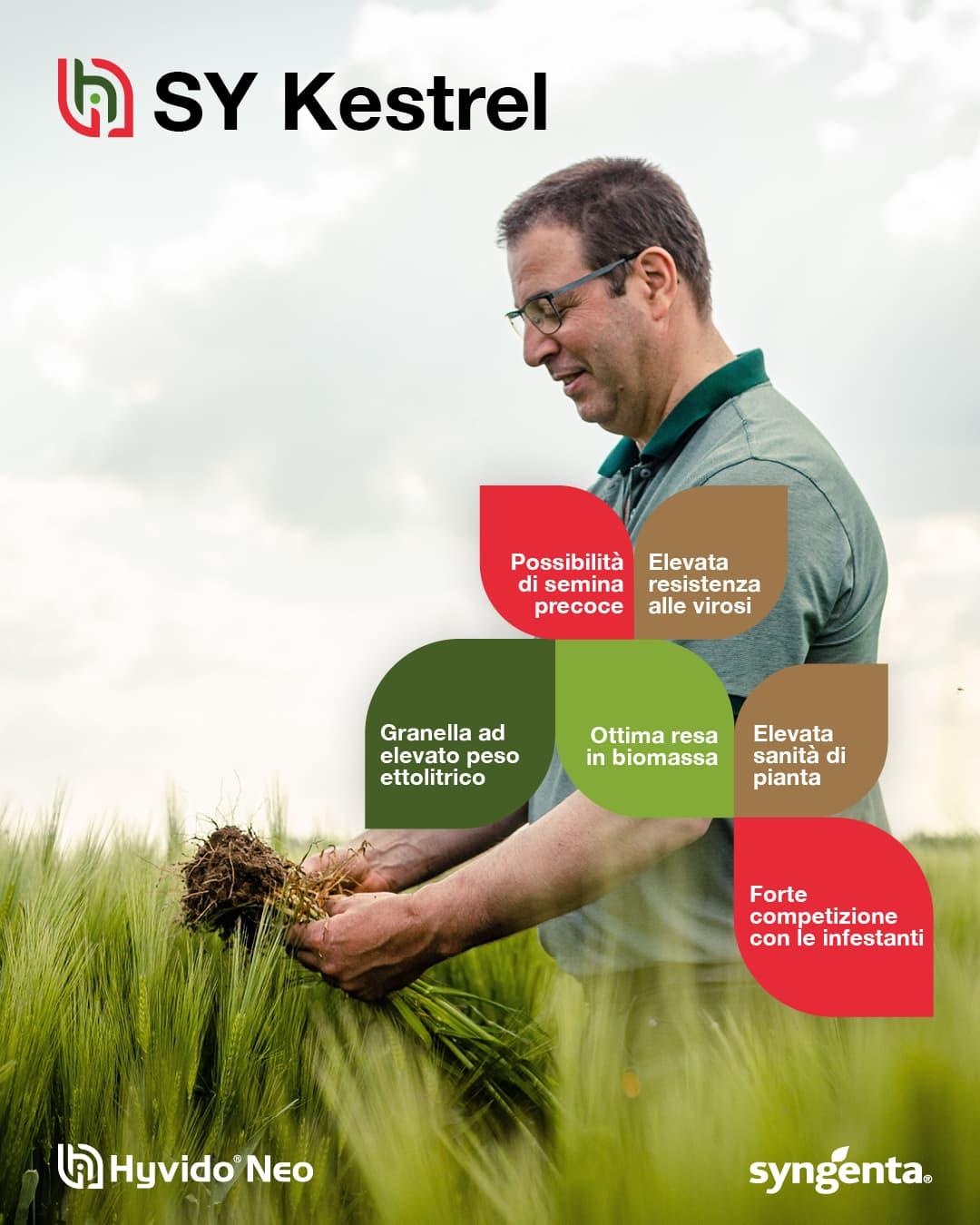 caratteristica syngenta