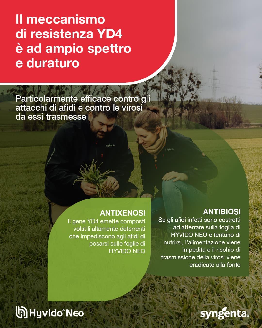 meccanismoazione_Syngenta