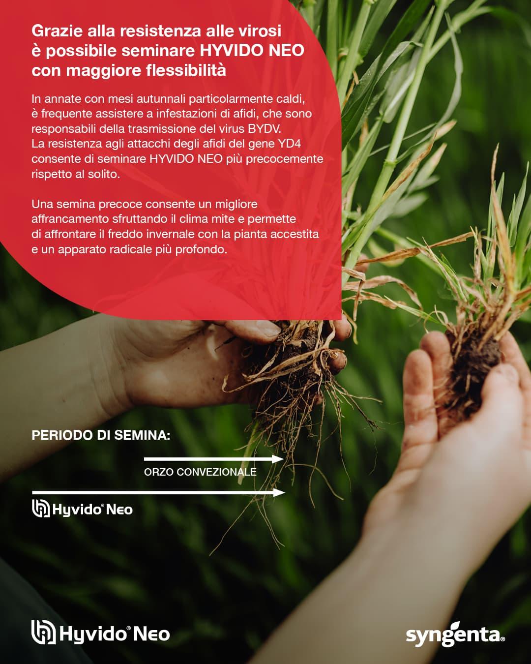 post_periodosemina_syngenta