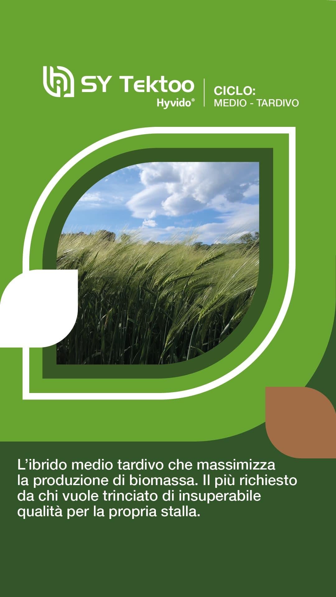 post_prodottihyvido_syngenta