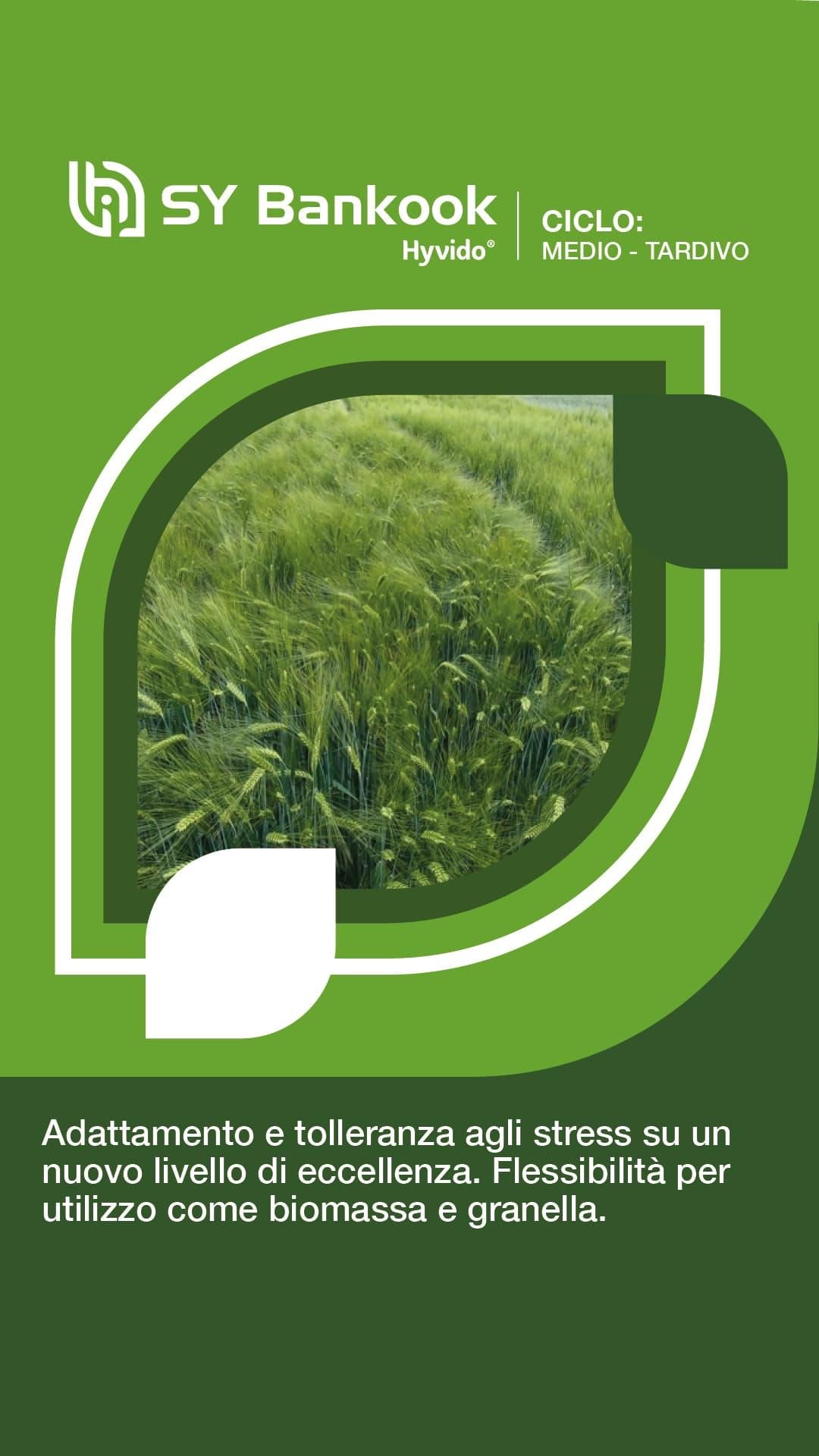 post_prodottihyvido_syngenta2