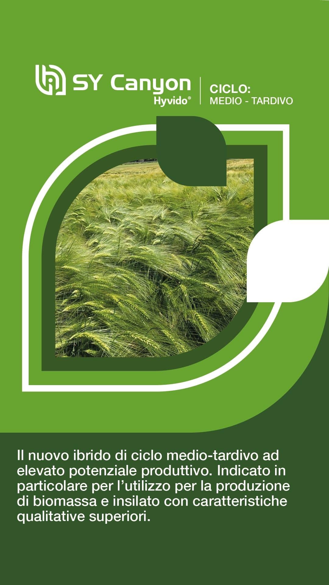 post_prodottihyvido_syngenta3