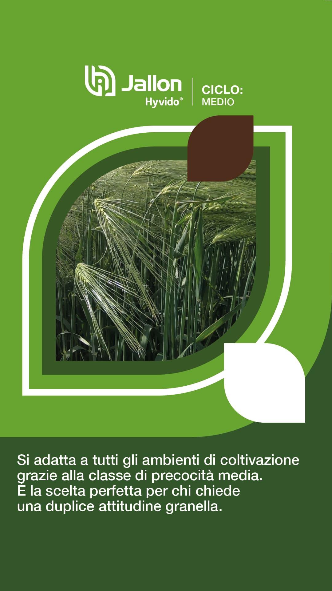 post_prodottihyvido_syngenta5