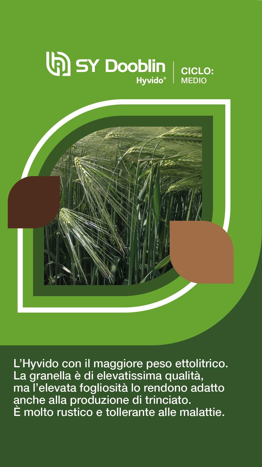post_prodottihyvido_syngenta6
