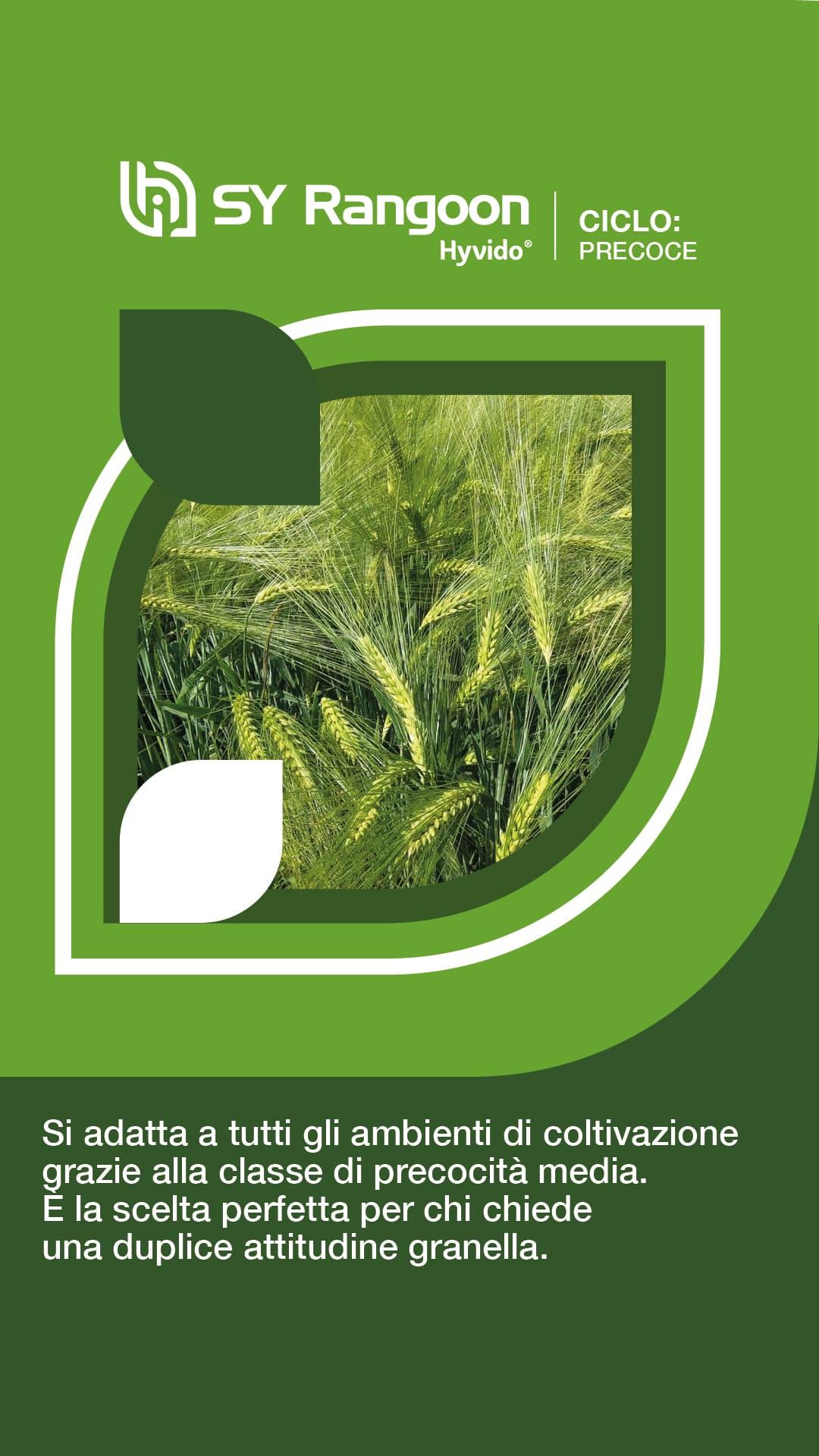 post_prodottihyvido_syngenta