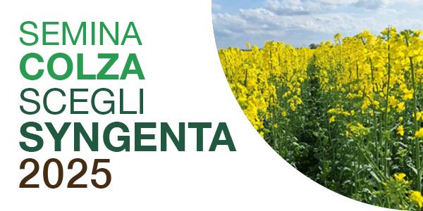 colza 2025