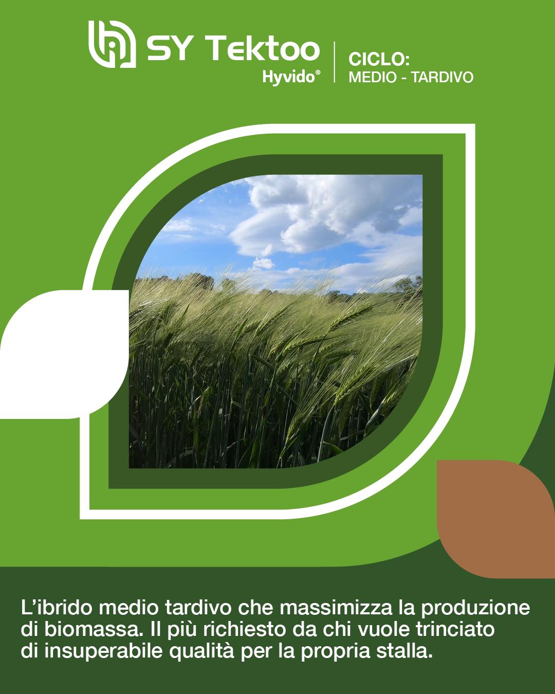 hyvido orzo ibrido tektoo