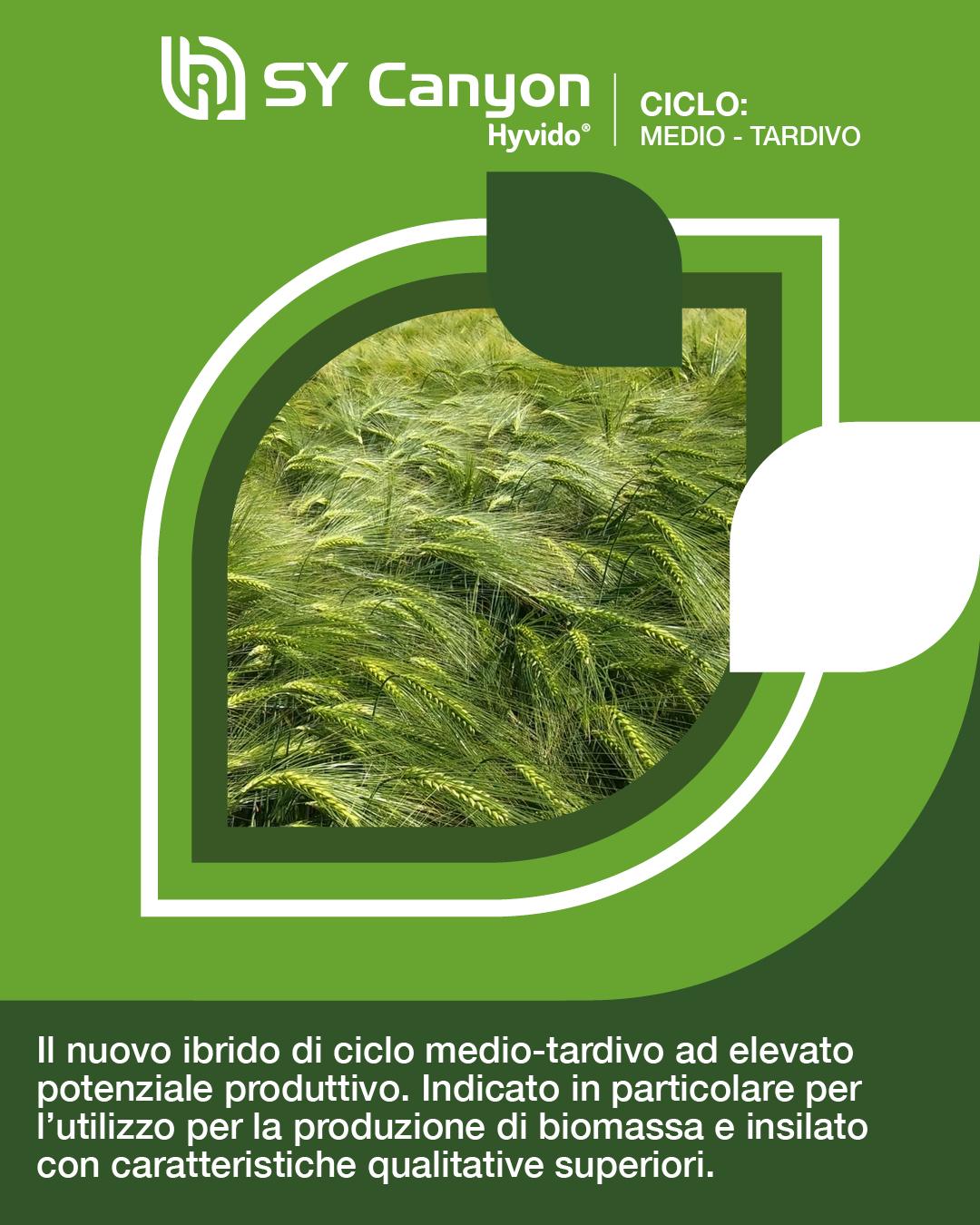hyvido orzo ibrido canyon