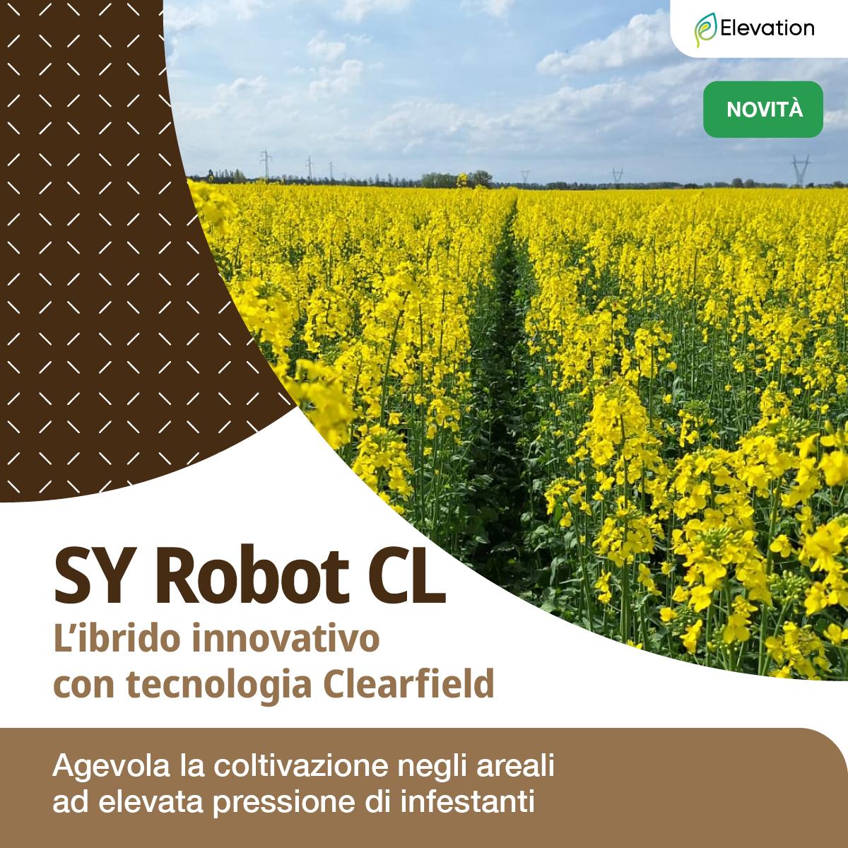 colza robot 