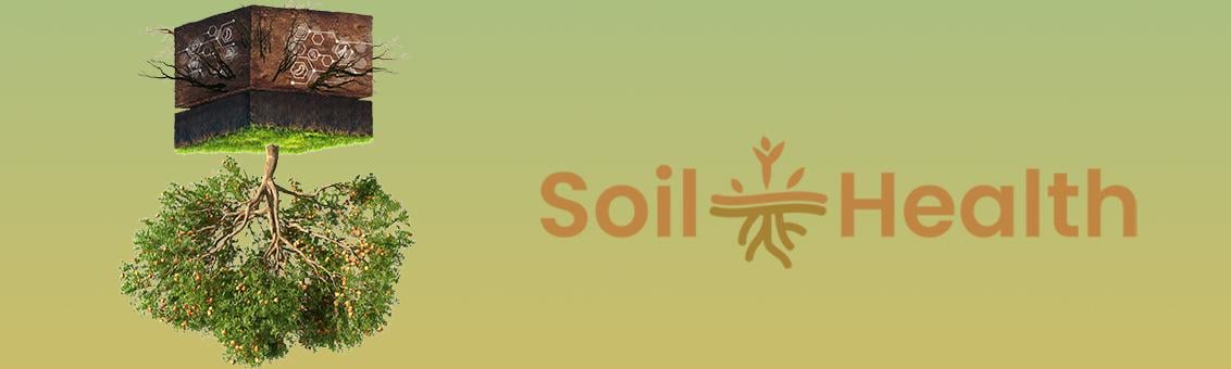 Soil Health - Salute del suolo
