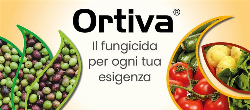 Ortiva_Syngenta